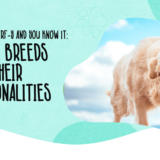 Dog Personalities