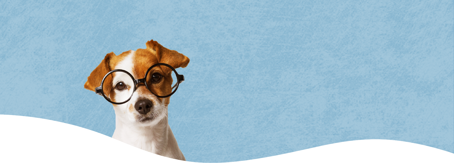 blog bg after incr v6