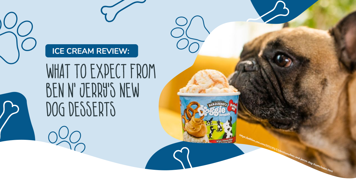 Ice Cream Review: What to Expect from Ben N