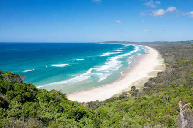 Long Time No SEA: The Best Aussie Beaches for Dog-Friendly Dates | I ...