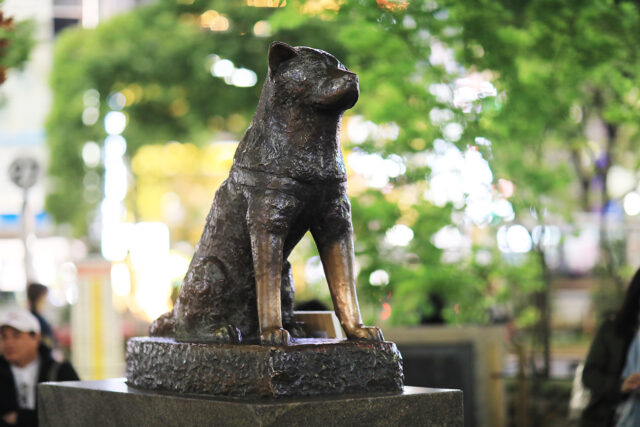 Hachiko statue