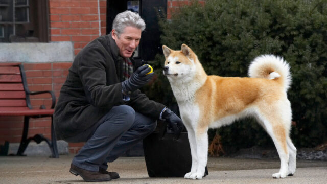 Netflix hachiko richard gere